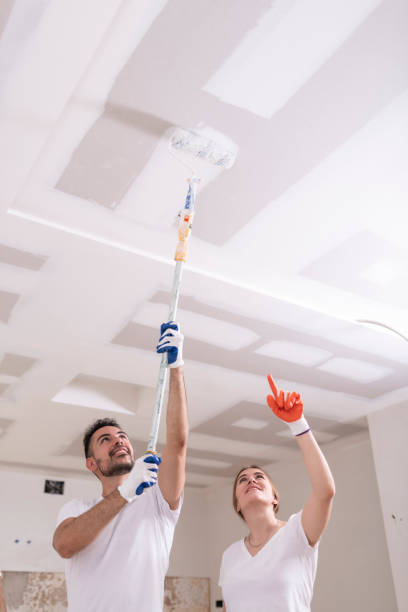 Professional Mold Removal in Keno, OR
