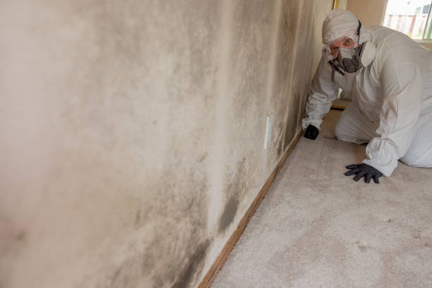 Best Mold Remediation for Healthcare Facilities  in Keno, OR